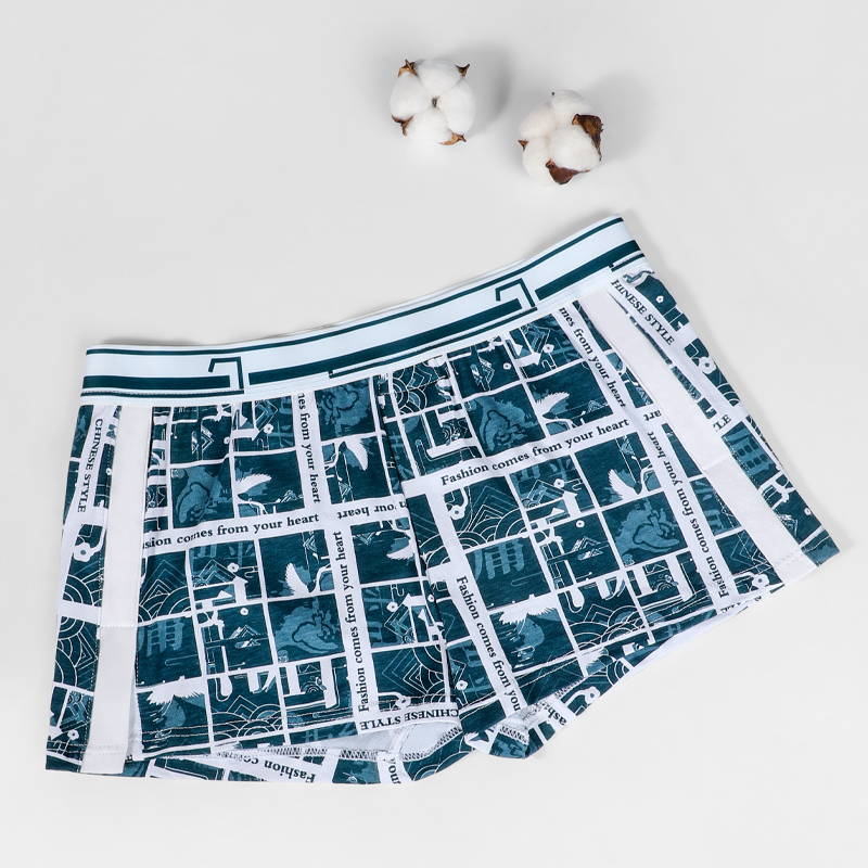 남성용 속옷, 순면 소재의 넉넉한 핏으로 통기성이 좋은 - Boxer Brief Pack Cotton 리뷰 및 가격