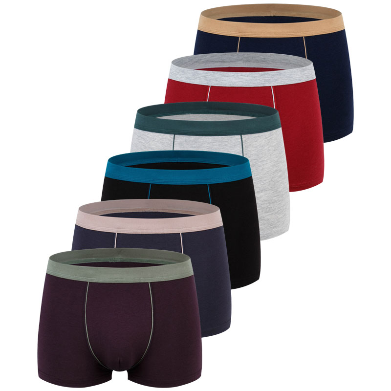 대형 원활한 속옷 남자 솔리드 코튼 복서 반바지 남자  - Boxer Brief Pack Cotton 리뷰 및 가격
